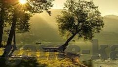 足球球网比分-足球球网，编织胜利的经纬，比分背后的激情交响